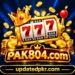 PAK804 Game